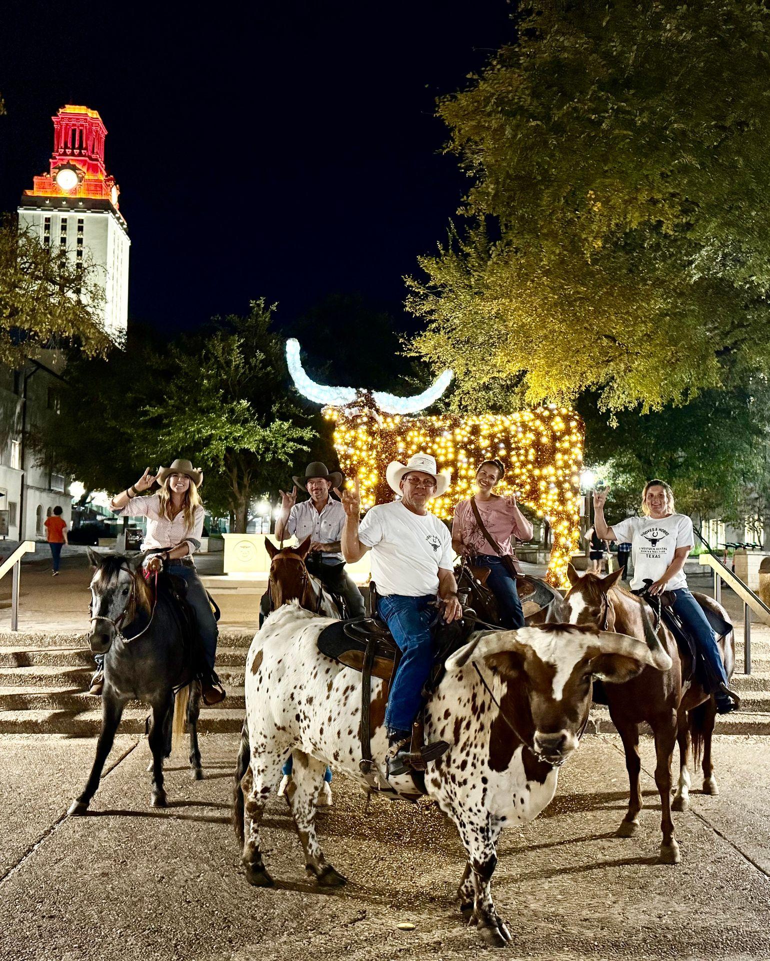 horse rental austin tx and longhorn rental in Austin TX city pic for UT watch party