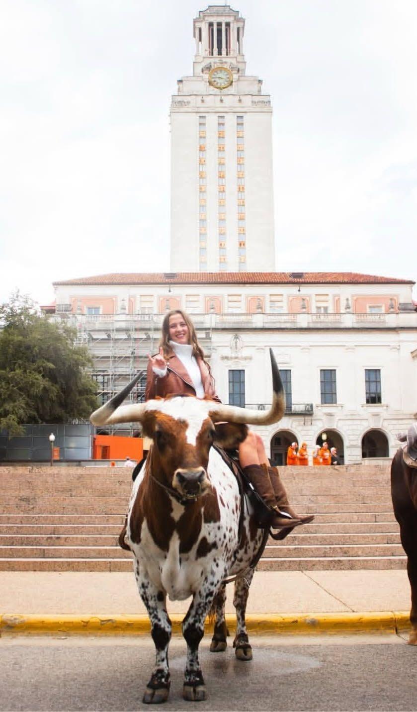 livestock, longhorn rental promotional, photo op austin texas