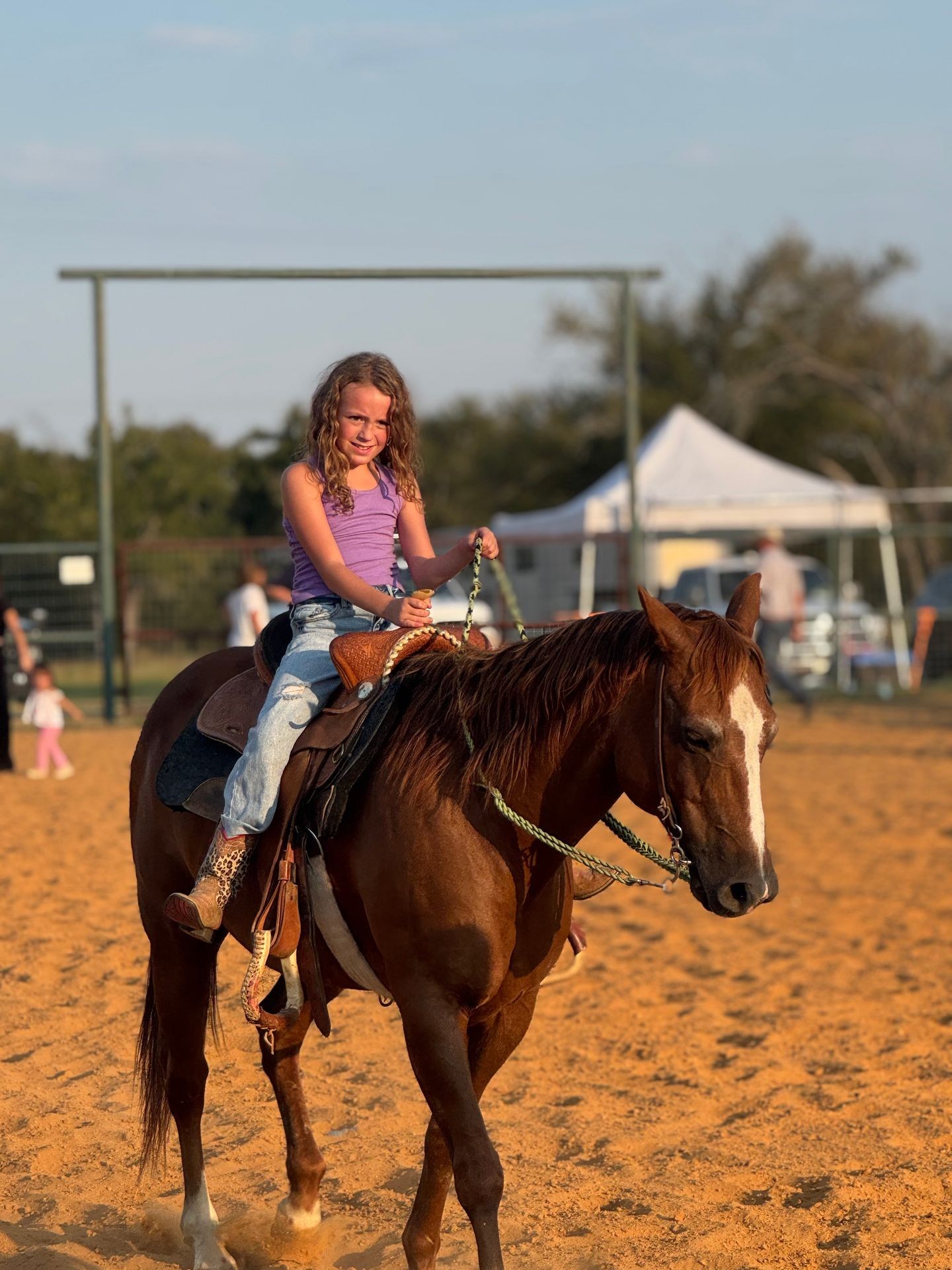 rent a horse for event , rent a horse for birthday